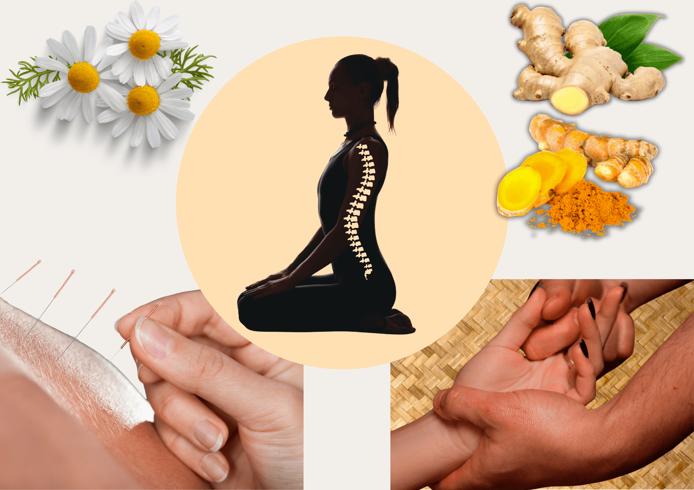 A composite image symbolizing alternative medicine practices: chamomile flowers and turmeric roots representing herbal medicine, a person receiving acupuncture, a woman in a seated yoga pose with a spine illustration overlay for chiropractic care, and a close-up of hands performing hilot massage on a woven mat background.